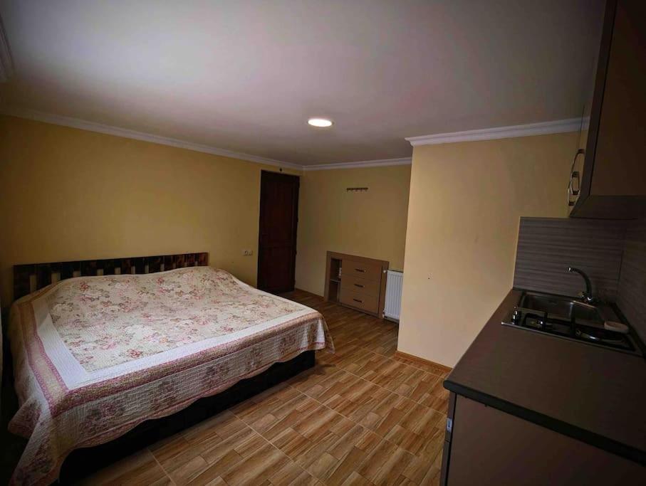 Borjomi Veranda Экстерьер фото